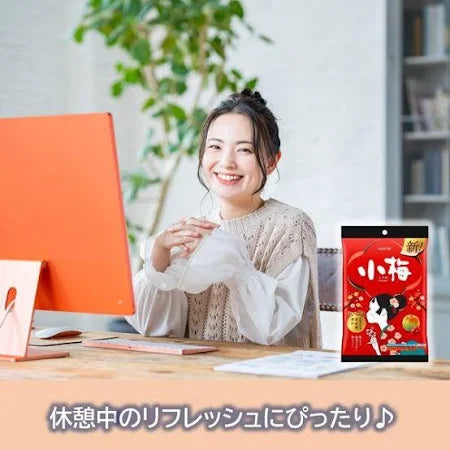 LOTTE Ume Candy (Bag) / Koume Plum Candy / Japońskie cukierki o smaku śliwki (ume) 68 g