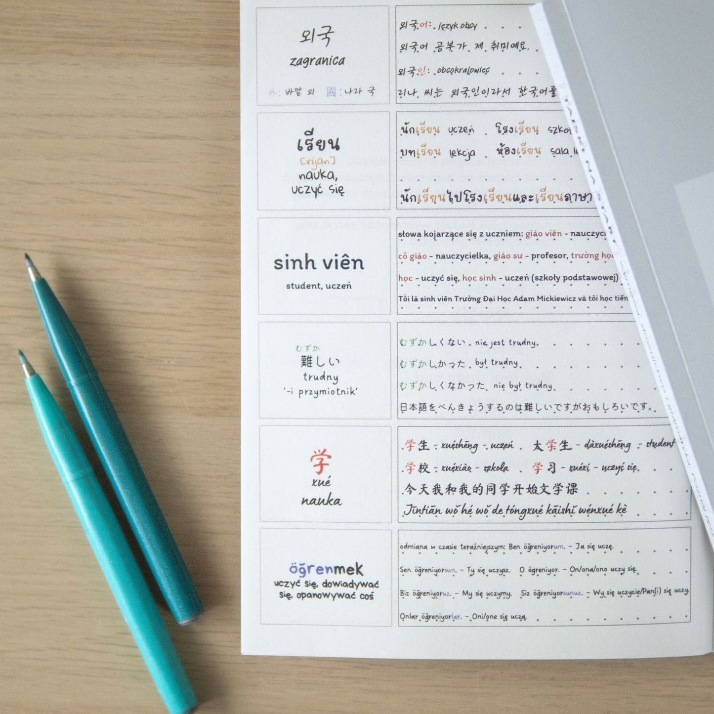 AZJATYCKIE JĘZYKI Vocabulary & Grammar Notebook - Dragon / Zeszyt do słówek, gramatyki - Smok