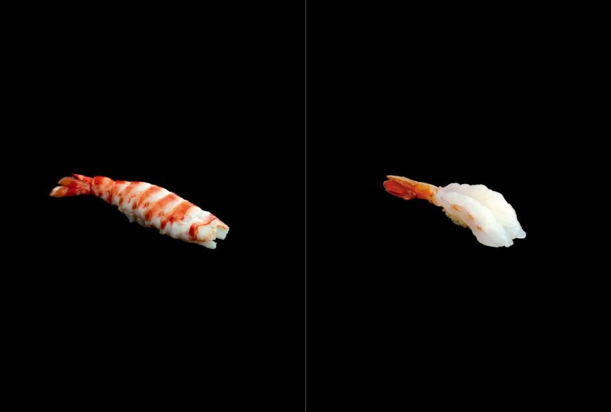 SEIICHI SAKANISHI, KAZUHIKO TAJIMA Sushi Secrets : A Japanese Master's Ultimate Guide