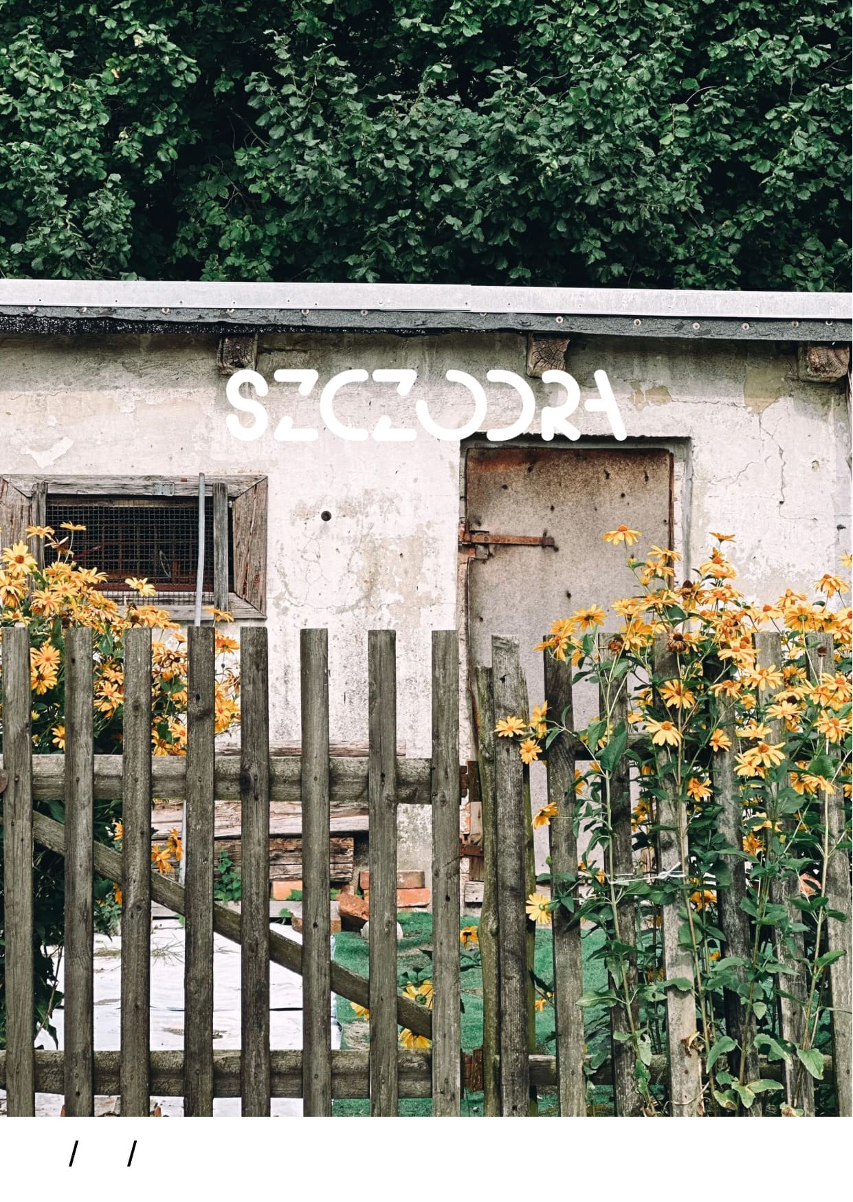 SZCZODRA Etiopia Gera Farm 250 g